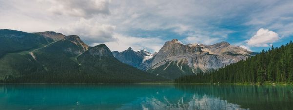 The year-end benefits bamboozle