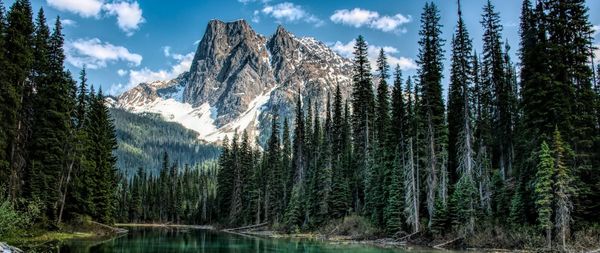 Wellness Programs – Providing the Work-Life Balance Employees Need