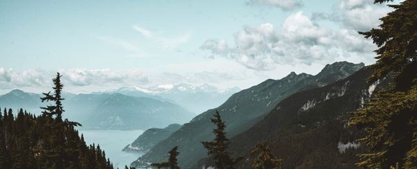 Group Benefits Plans with Customizations for any Business