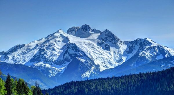 Setting the objective for your group benefits plan