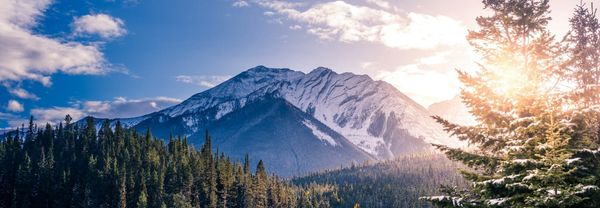 The 2023 Benefits Canada Healthcare Survey