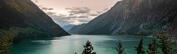 The Great Resignation