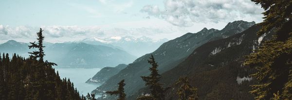 Work from home is here to stay