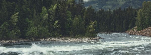 How can small businesses save with better benefits?