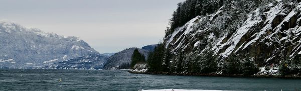 Cost Control and Blendable