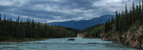 Insurance is NOT like a gift card!