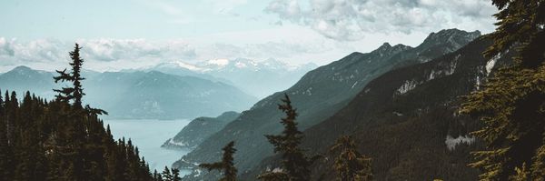 Why plan sustainability and Plan Member wellbeing are colliding