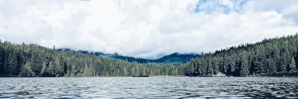 Small businesses, big impact: Rethinking benefits in a changing world of work