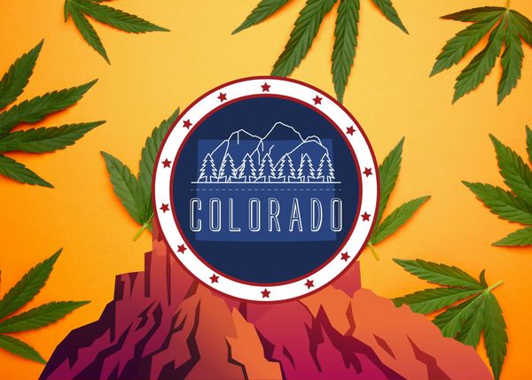 Judge won’t force Colorado cannabis regulator to halt alleged ‘inversion’