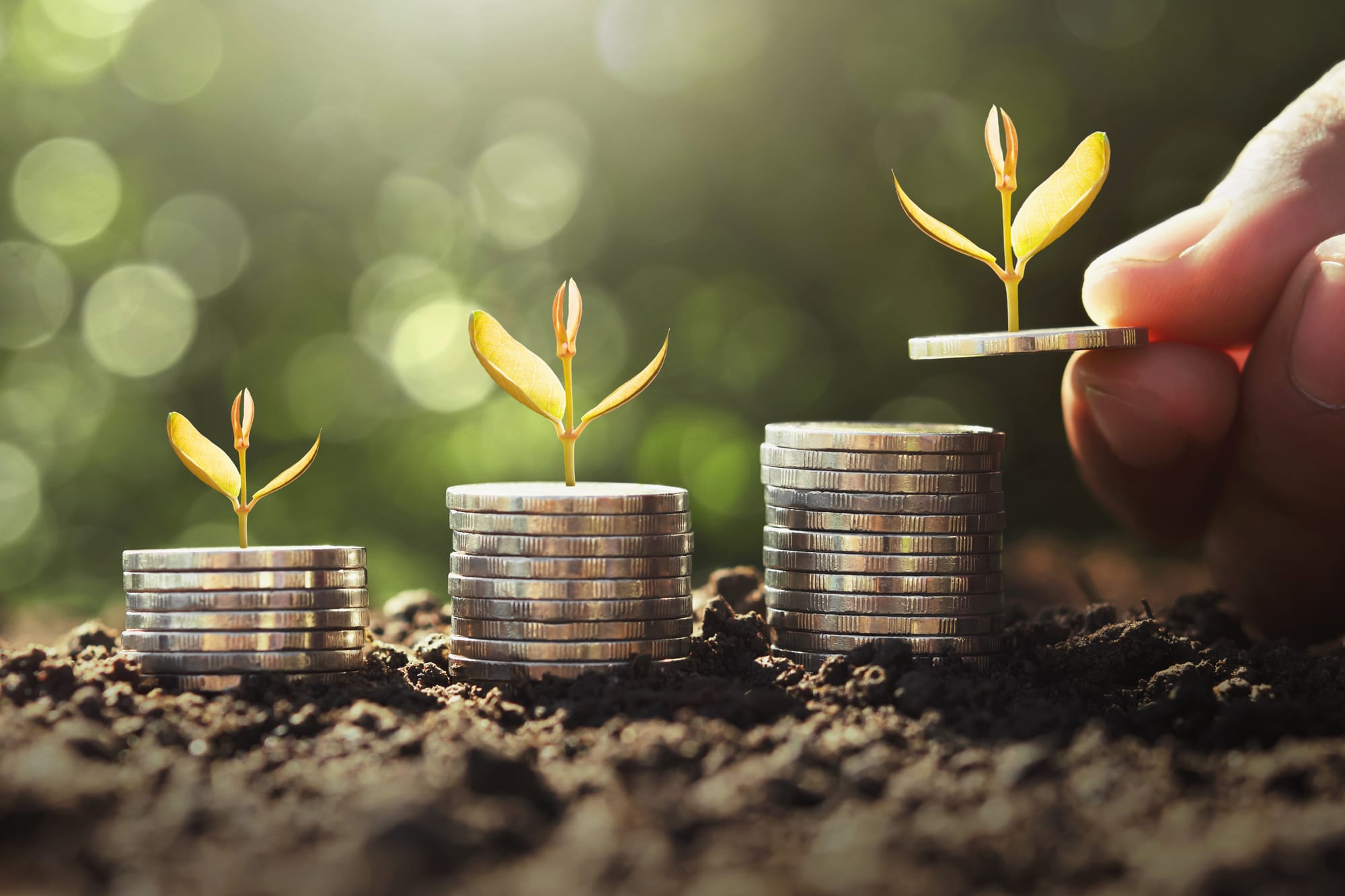 Proven Financial Growth