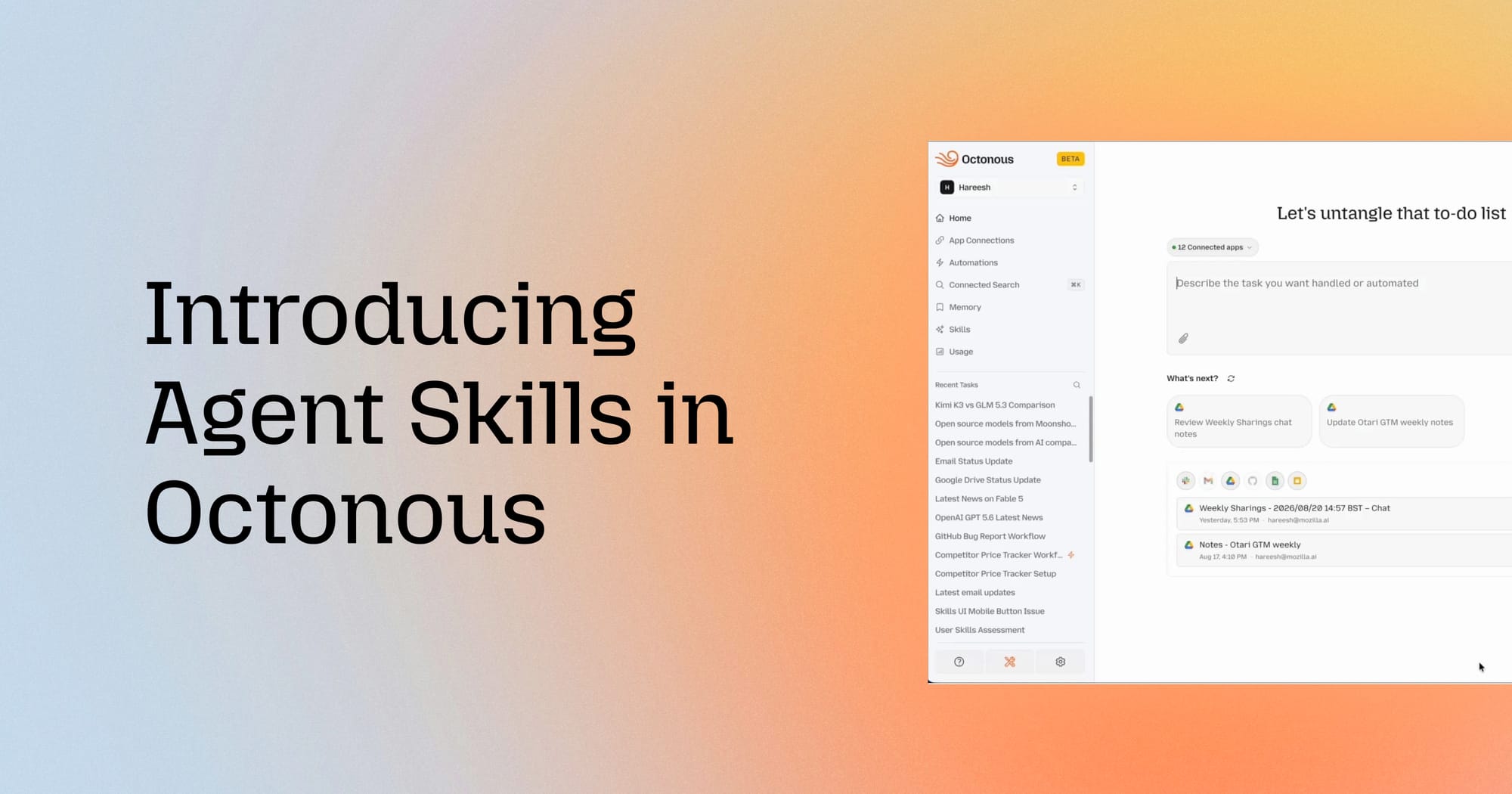 Introducing Agent Skills in Octonous