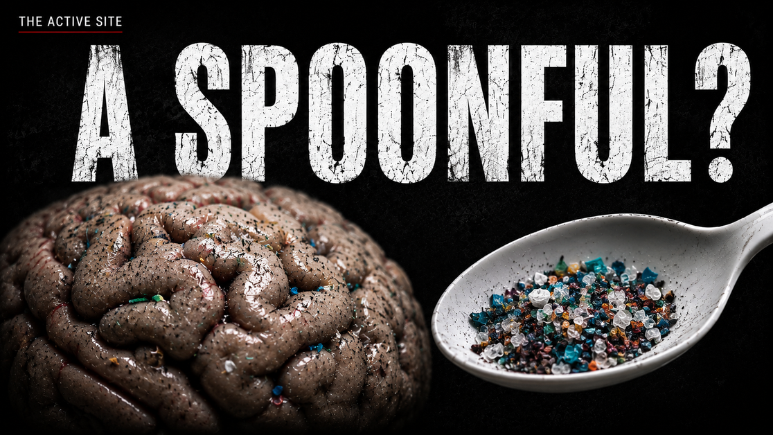 Are Our Brains Really Filling With Microplastics?