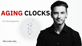 Do Aging Clocks Actually Work?