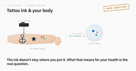 Tattoo ink ends up in your lymph nodes. Here's what that means for your cancer risk.