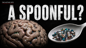 Are Our Brains Really Filling With Microplastics?