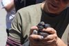 The street team that builds compassion through pigeon first aid