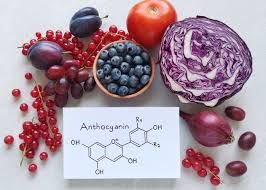 BOJA IZDRŽLJIVOSTI: KAKO 100 mg ANTOCIJANINA "DOPA" VAŠ VO2 MAX?
