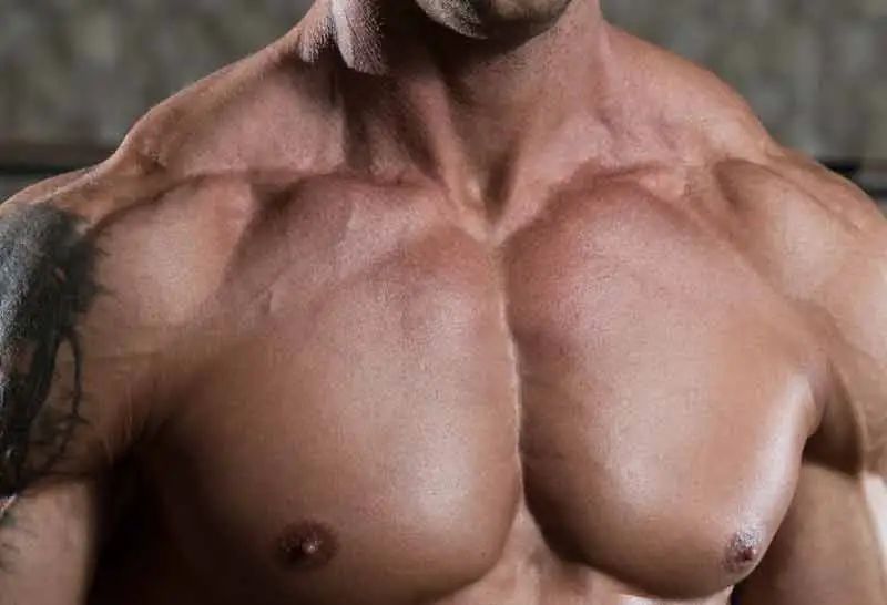 Androgeni receptori: Biokemijska arhitektura mišićnog odgovora i hormonalne efikasnosti 2. Dio