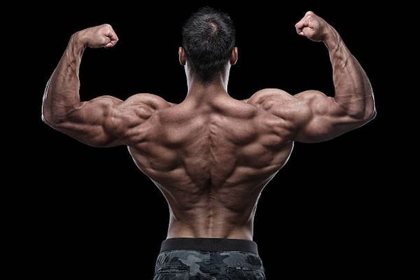 Androgeni receptori: Biokemijska arhitektura mišićnog odgovora i hormonalne efikasnosti 1. Dio