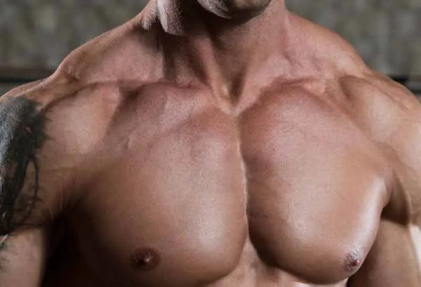 Androgeni receptori: Biokemijska arhitektura mišićnog odgovora i hormonalne efikasnosti 2. Dio