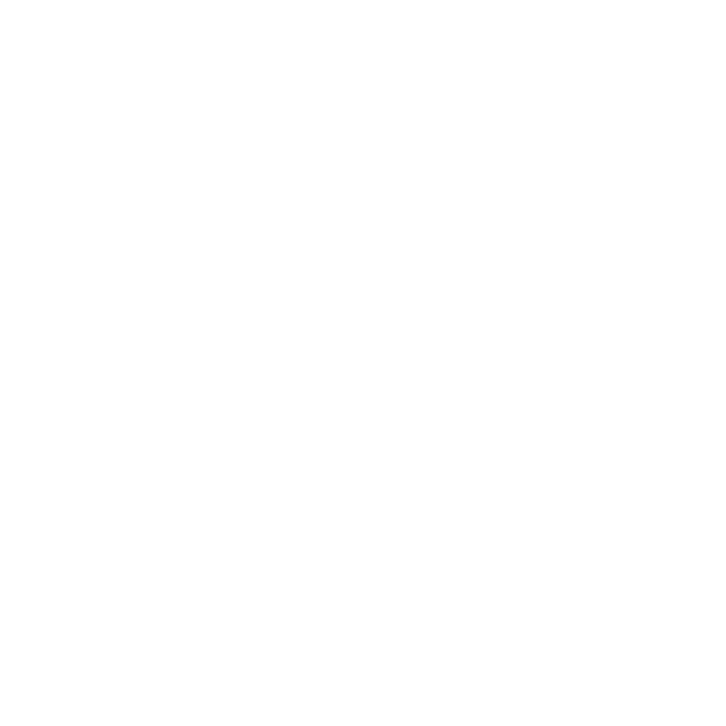 Alice in Bitcoinland Logo