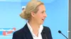 Vier Stimmen für Rausch waren offenbar kein Zufall – Weidel bestätigt Absprache vor der Wahl