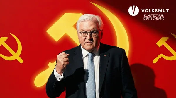 Neutralitätsbruch im ZDF-Sommerinterview! Steinmeier will Ulrich Siegmund (AfD) "mit allen Mitteln verhindern"