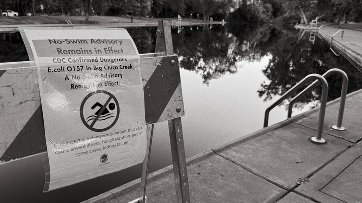 Big Chico Creek: A Call for Urgent Action to Protect Public Health and Threatened Salmon