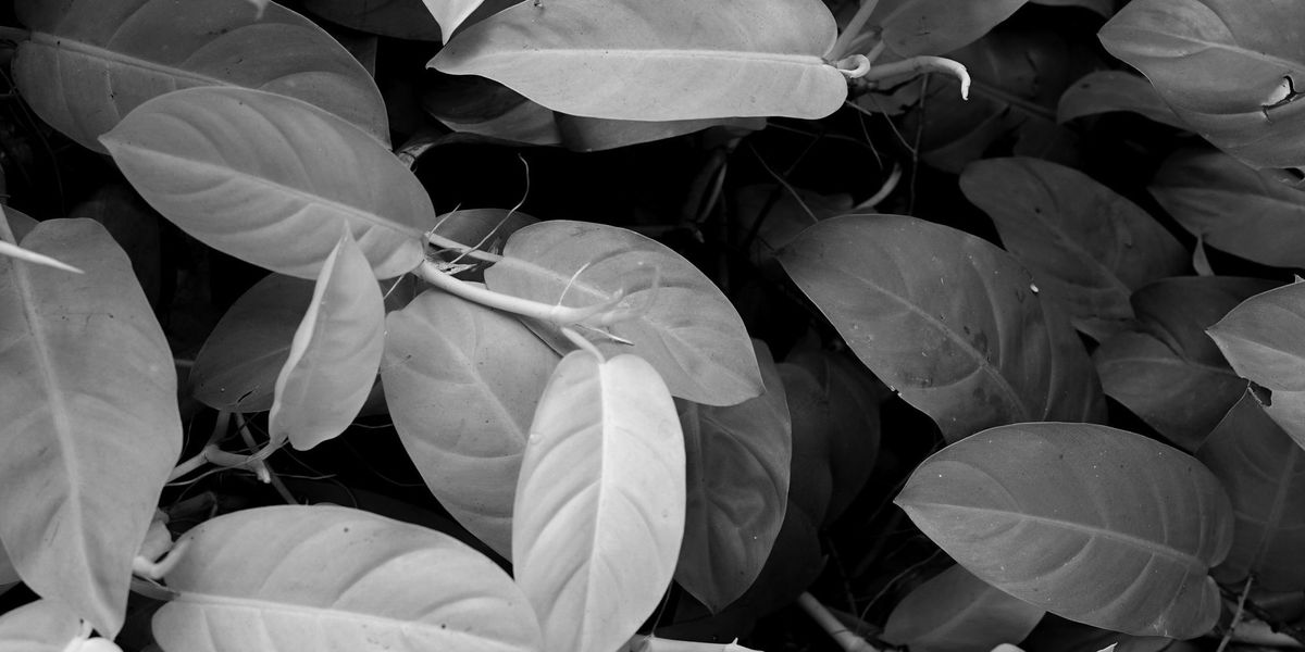 Creating Environments That Encourage Behaviors That Make Meaningful Work