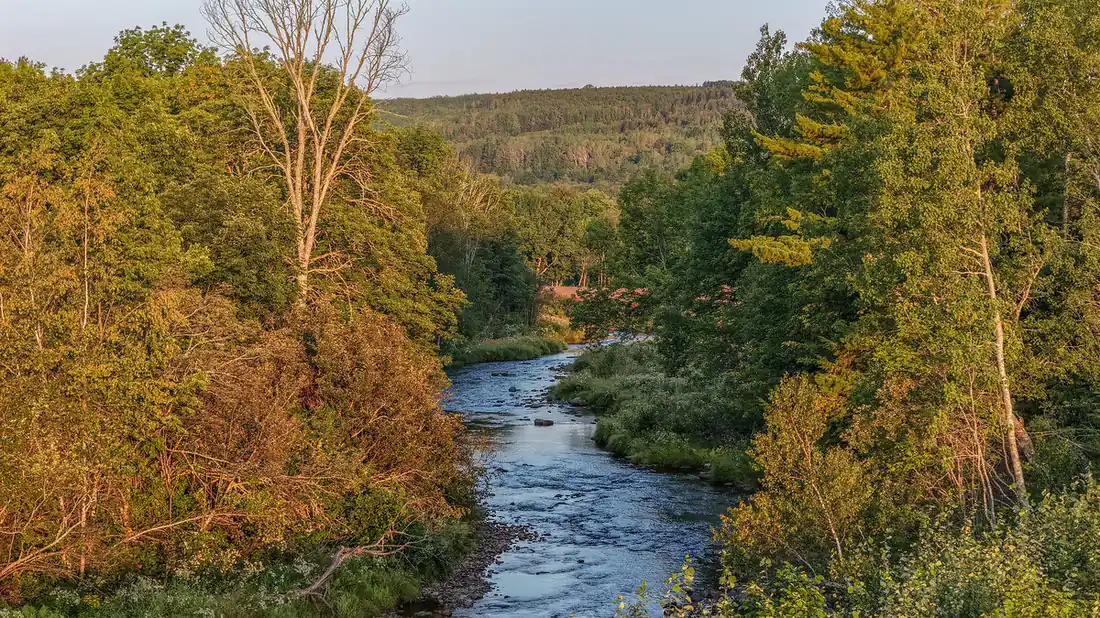 River Philip weaving through the Cabot Wilds site in Nova Scotia