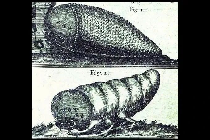 Shabbat Gathering: Behold the shamir worm.