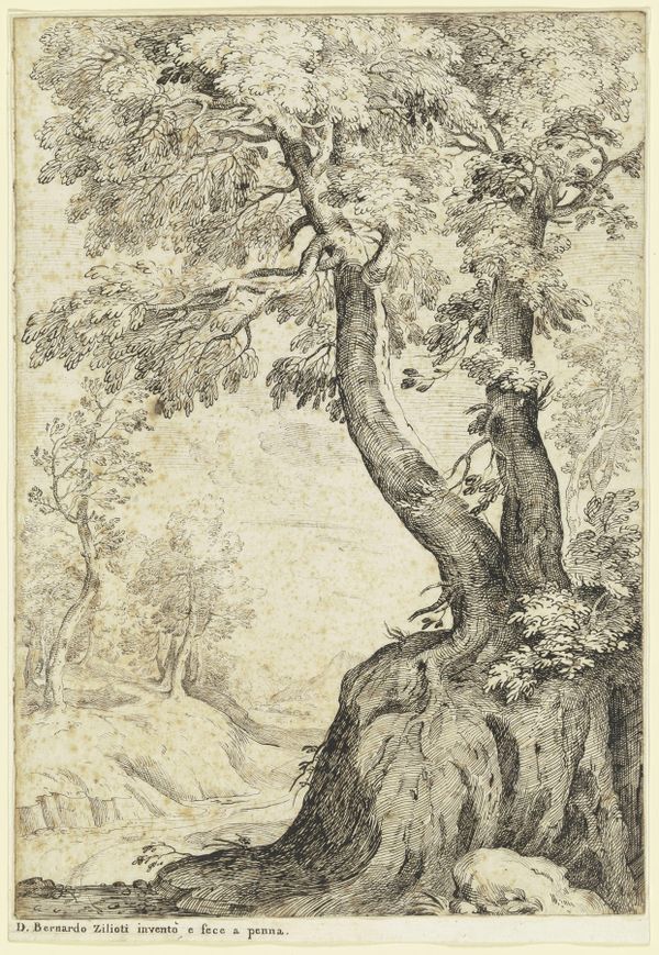 Shabbat Gathering: Learning from the trees on Tu B'Shevat.