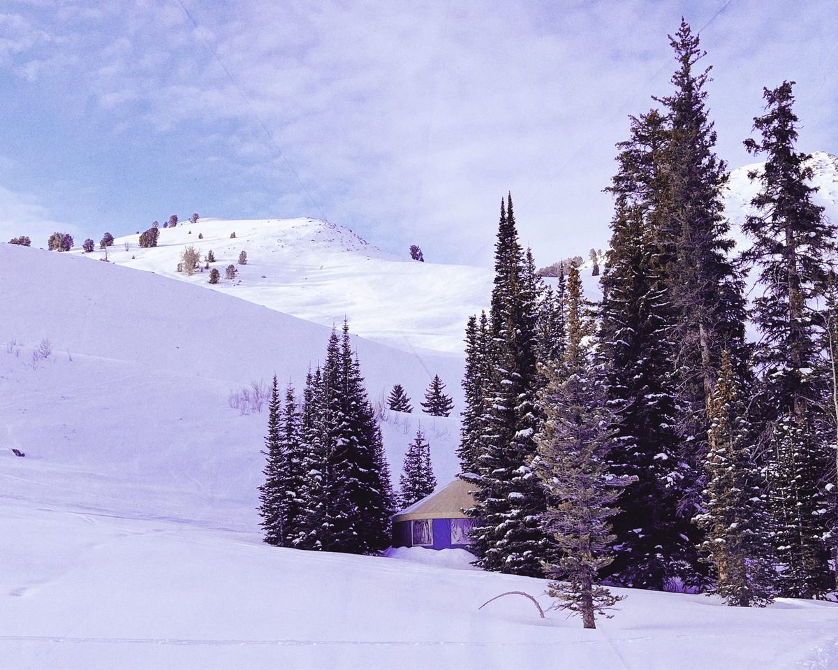 The Insider - January 2024