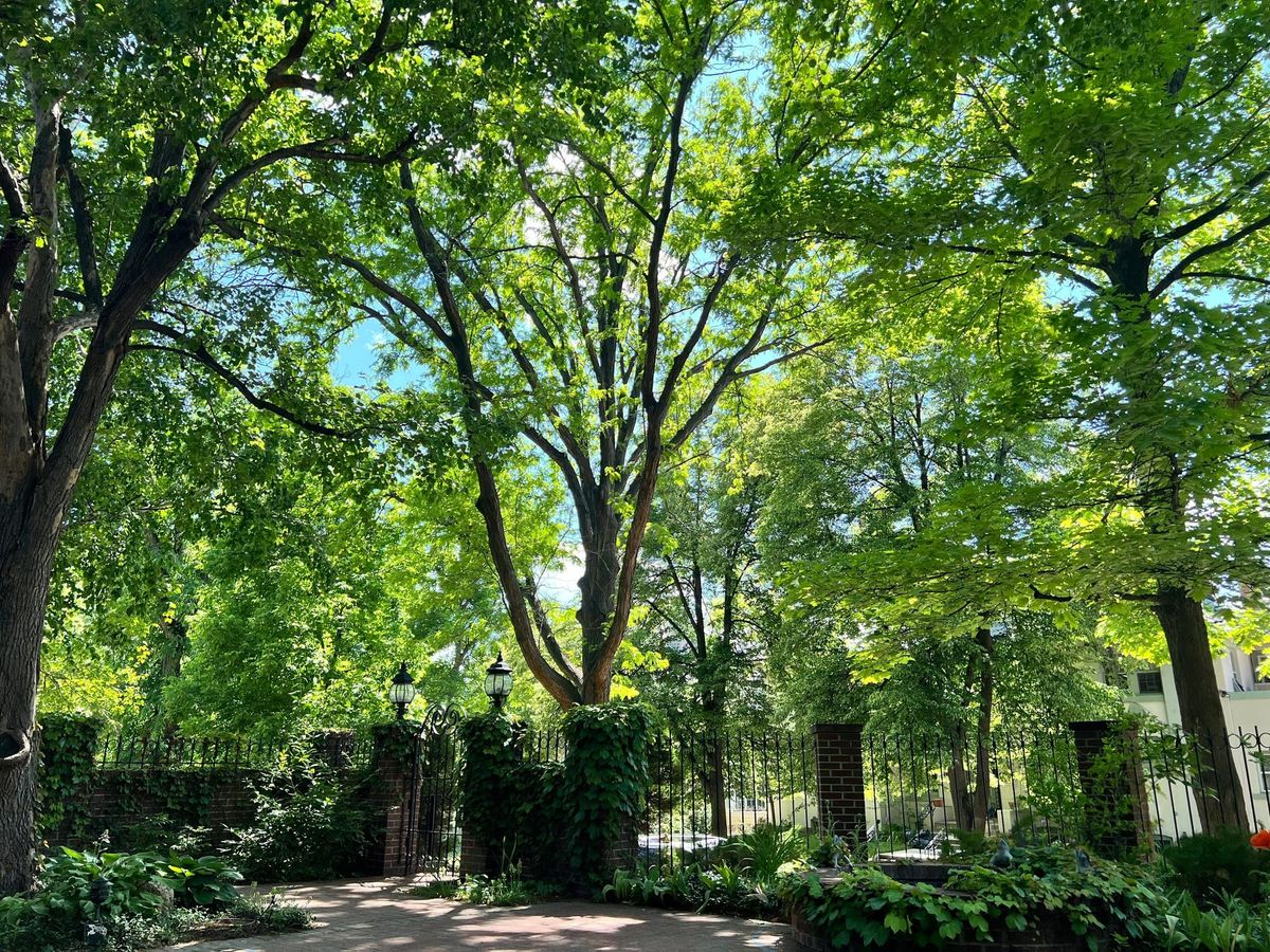 The Insider - May 2025