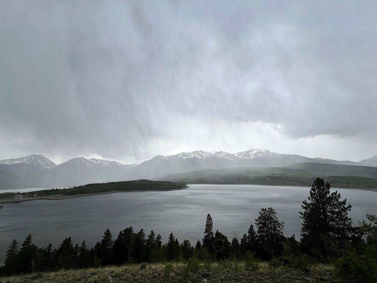 The Insider - August 2025