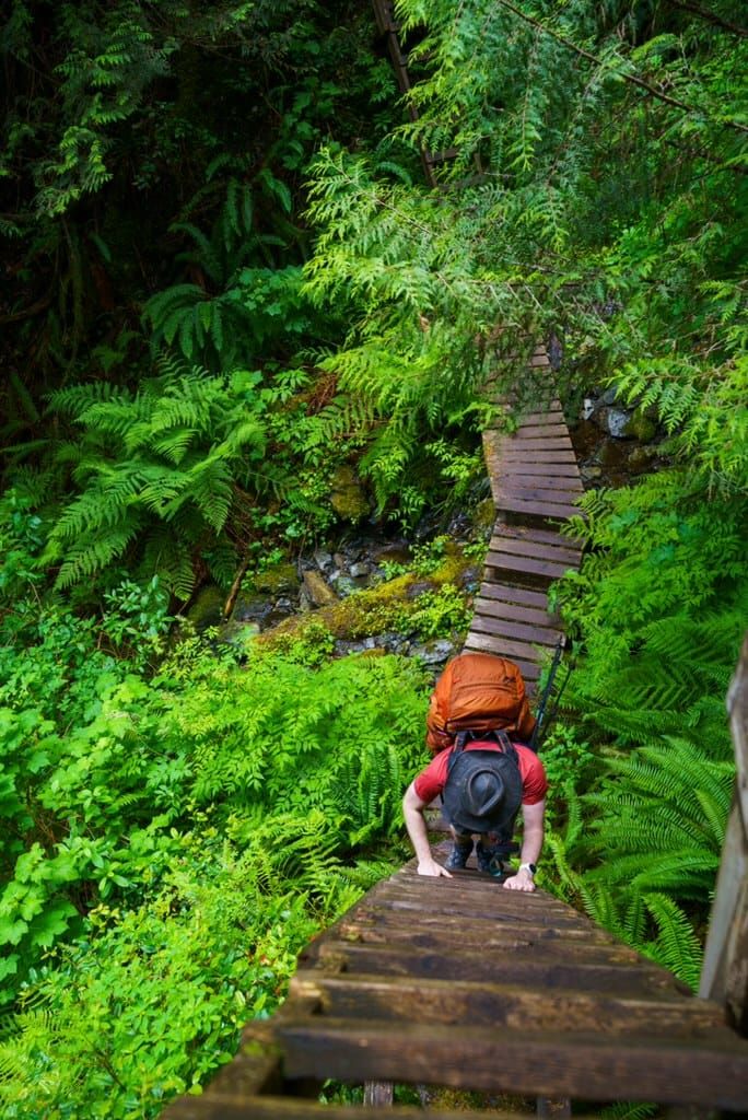 The Insider - June 2024