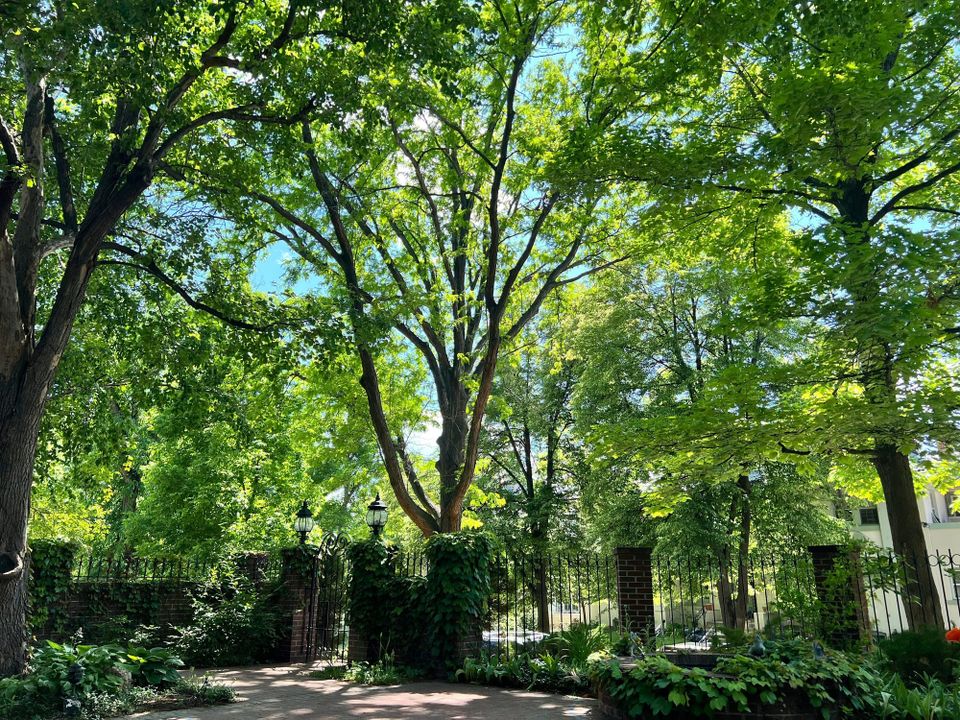 The Insider - May 2025