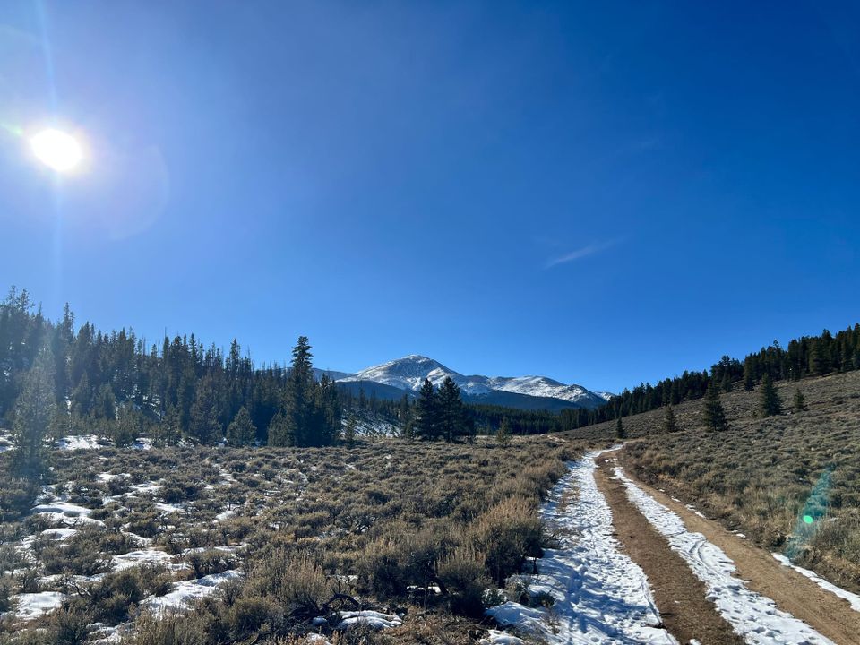 The Insider - January 2026