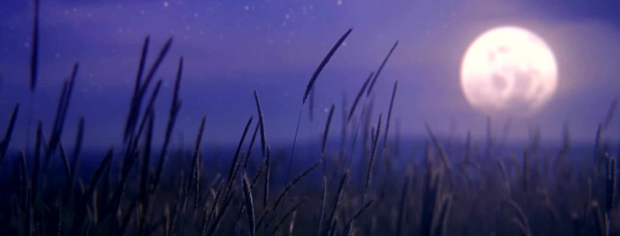 Guiding Star Astrology Moon Circle