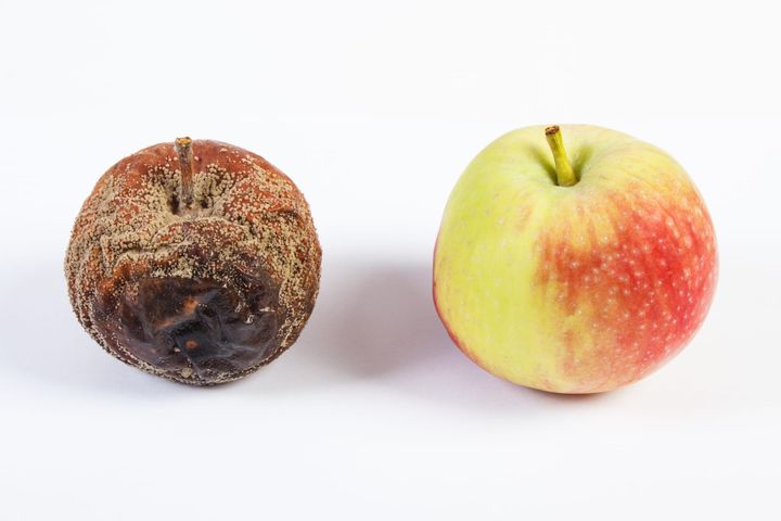 The Nutrient Depletion Problem: Why an Apple Today Isn't What It Used To Be
