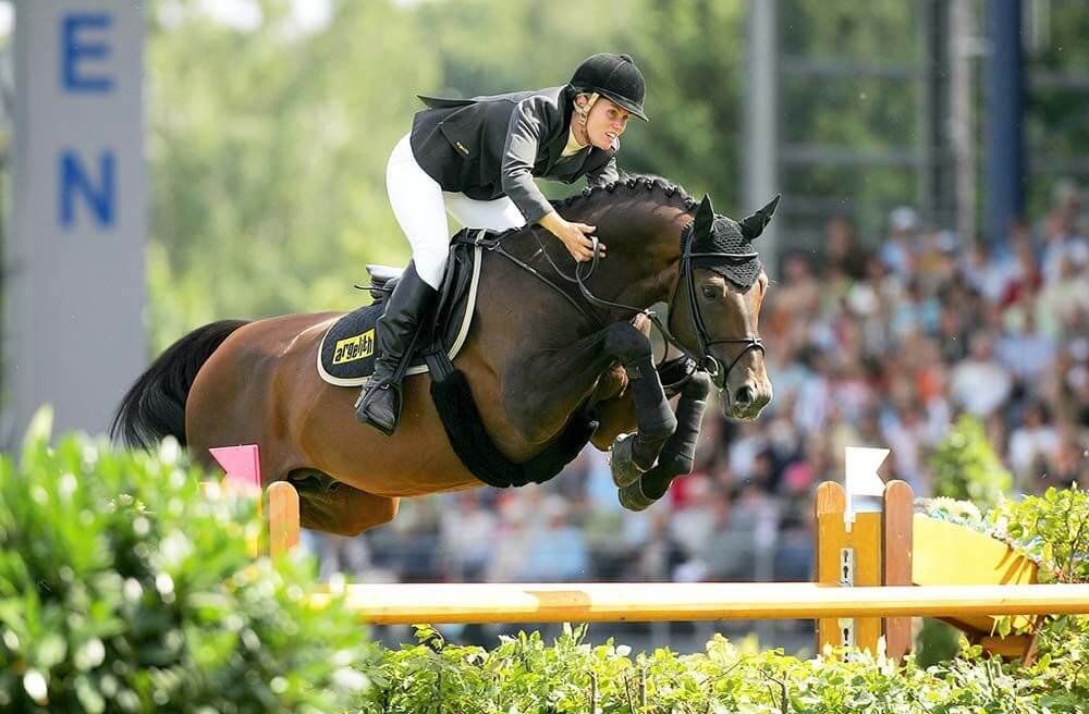 The 11 Best Jumping Horse Breeds