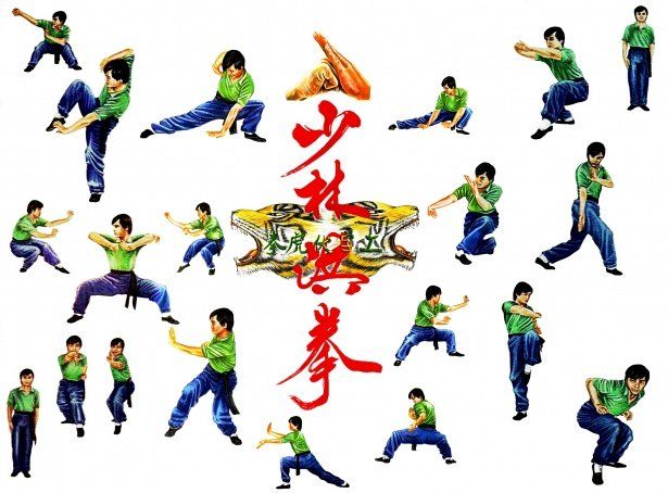 Animal Kung Fu: The 5 Animal Styles of Kung Fu