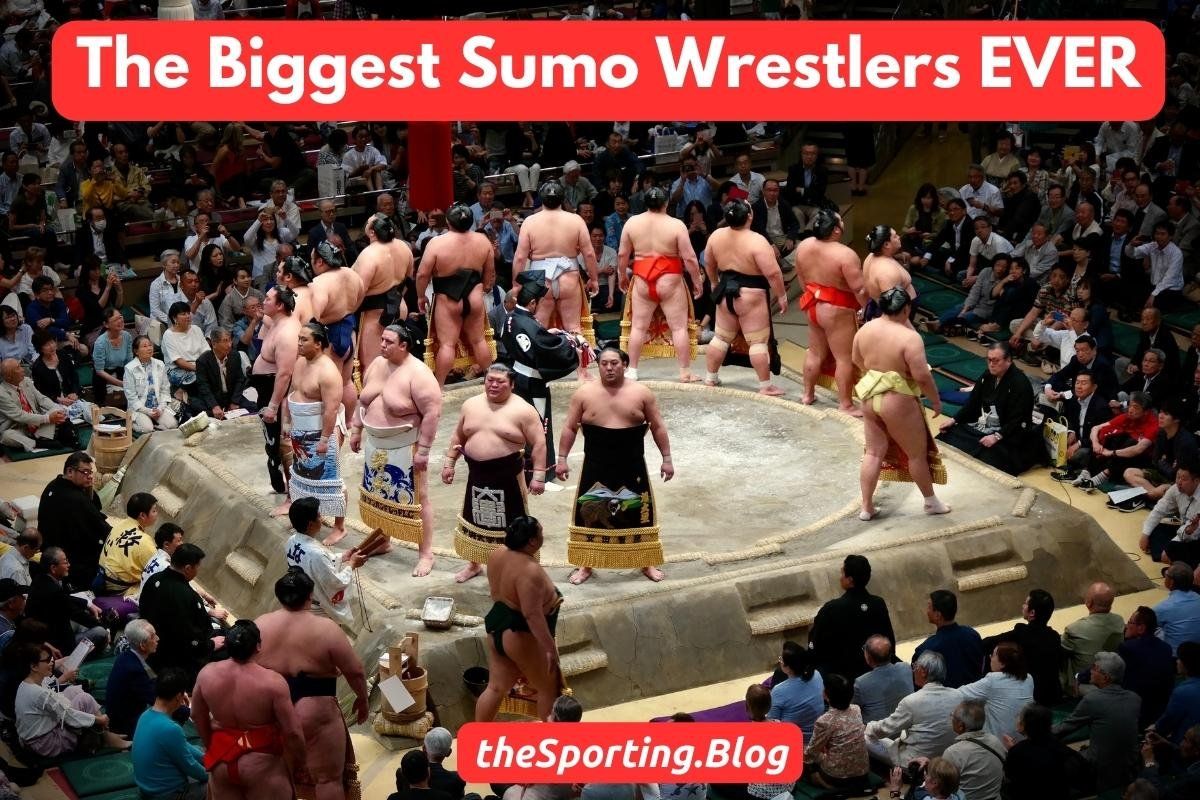 The Biggest Sumo Wrestlers of All-Time