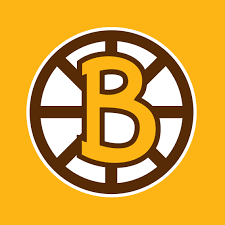 Boston Bruins Colors and Logo: A History and Color Codes