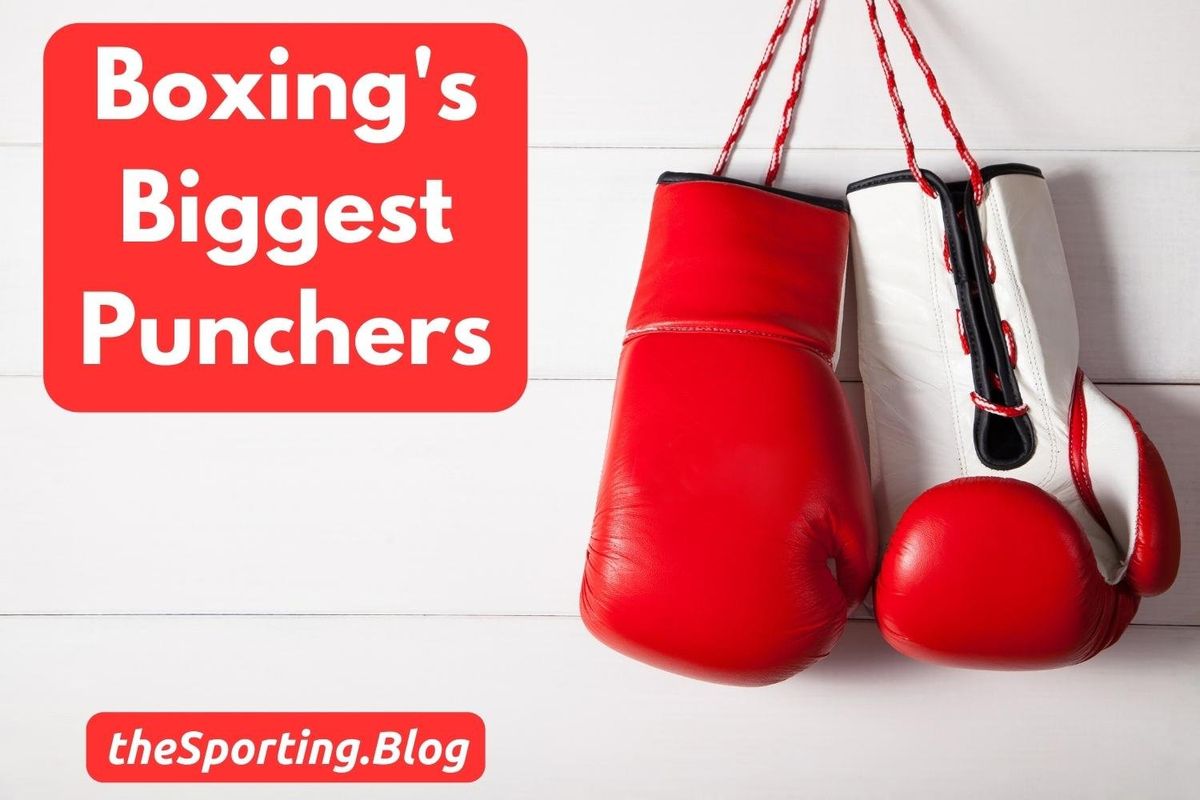 Big Hitters: The Hardest Hitters In Boxing History