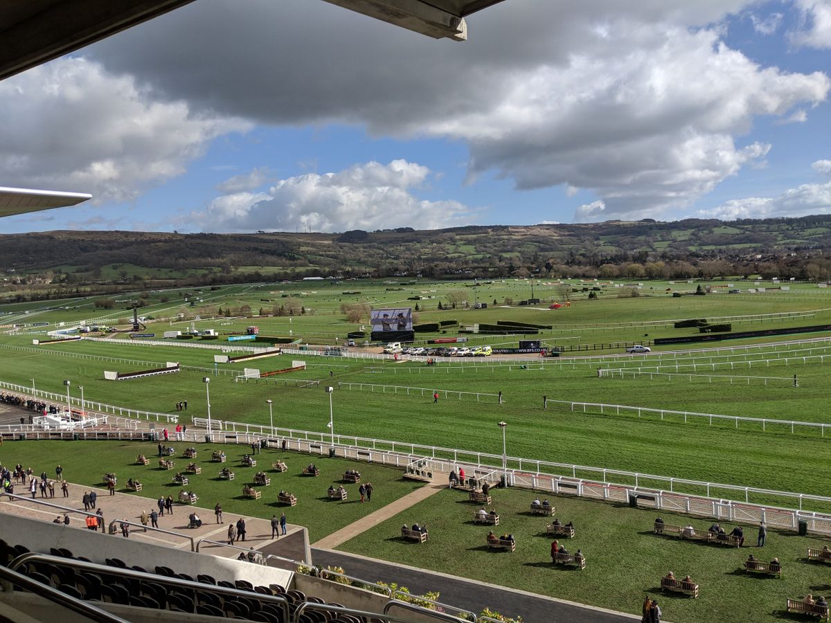 The Phenomenon that is Cheltenham Racecourse