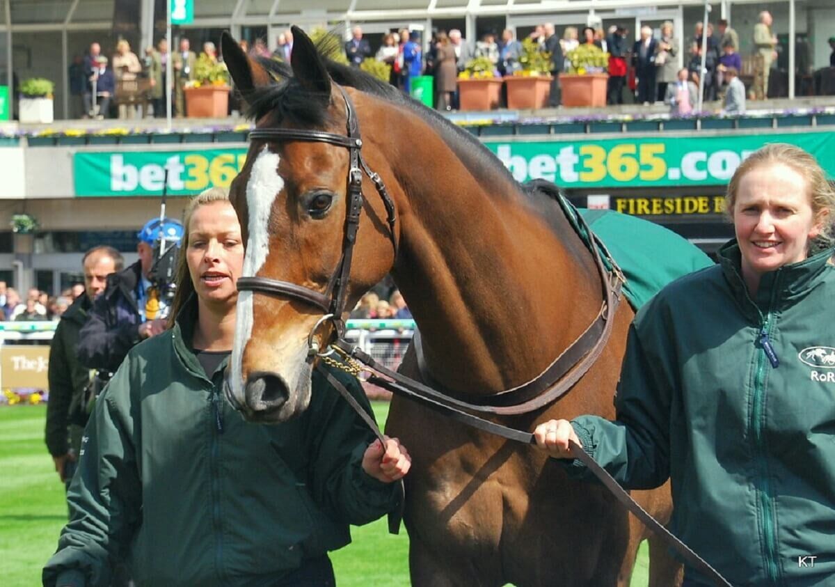 Kauto Star: A Record-Breaking Horse