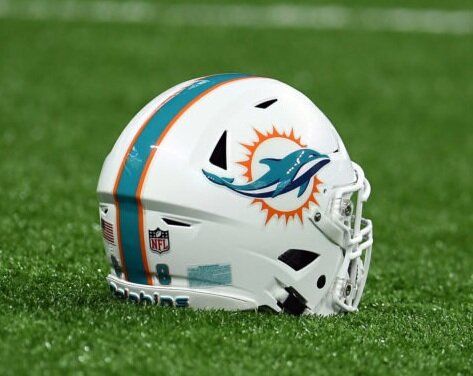 The Miami Dolphins - all you need to know