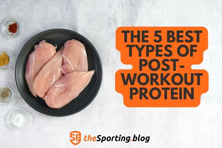 The Best Types of Protein Post-Workout