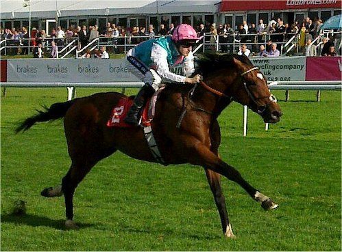 Frankel: The Story of a Legendary Racehorse